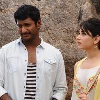 Kathi Sandai Movie New Gallery | Picture 1378680
