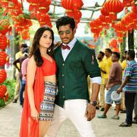 Kathi Sandai Movie New Gallery | Picture 1378685