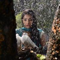 Pooja Hegde - Laila Oh Laila Movie New Photos | Picture 1379263