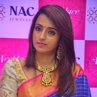 Trisha Krishnan - Trisha Inaugurates NAC Jewellers Necklace Mela Stills | Picture 1386355