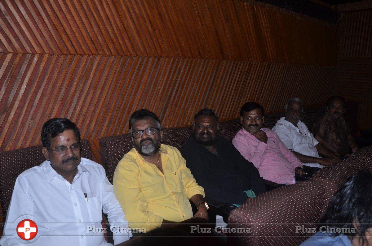 Neethan Raja Movie Audio Launch Stills | Picture 1389759