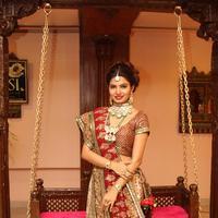 Avani Modi Photoshoot for Heritage Jewellery Stills | Picture 1232638