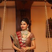 Avani Modi Photoshoot for Heritage Jewellery Stills | Picture 1232641