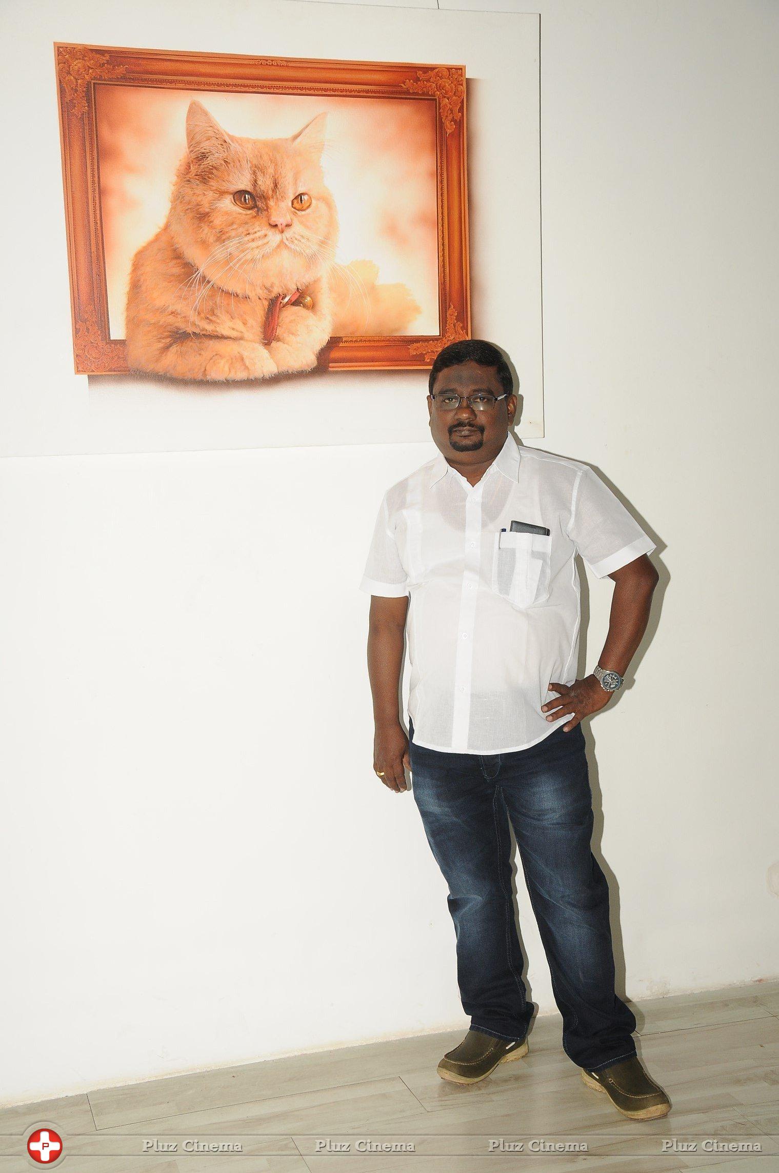 Meow Movie First Look Launch Stills | Picture 1243261