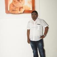 Meow Movie First Look Launch Stills | Picture 1243261