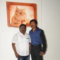 Meow Movie First Look Launch Stills | Picture 1243263