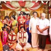 Celebrities at Producer Ravi Prasad Daughter Wedding Reception Stills | Picture 1199211