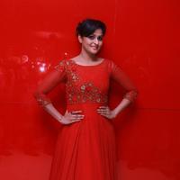 Remya Nambeesan - Sethupathi Movie Audio Launch Stills | Picture 1209053