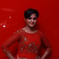 Remya Nambeesan - Sethupathi Movie Audio Launch Stills | Picture 1209064