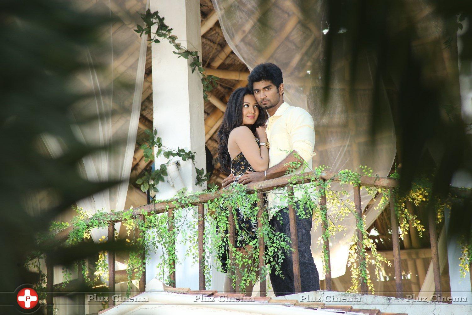 Kanithan Movie Gallery | Picture 1216441