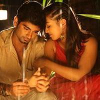 Kanithan Movie Gallery | Picture 1216443