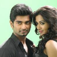 Kanithan Movie Gallery | Picture 1216448