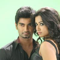 Kanithan Movie Gallery | Picture 1216449