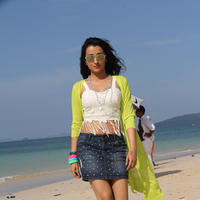 Trisha Krishnan - Aranmanai 2 Movie New Gallery | Picture 1216435