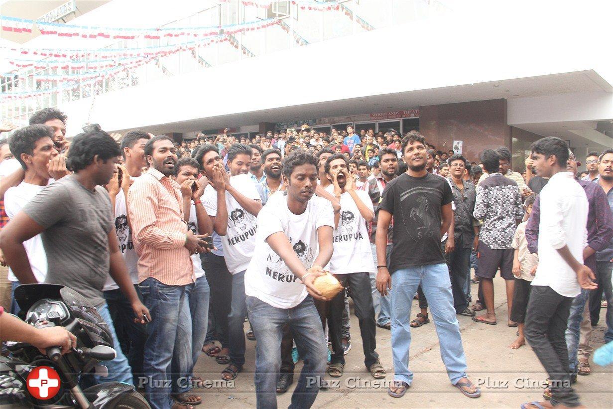 Kabali Movie Fans Celebration Photos | Picture 1363466