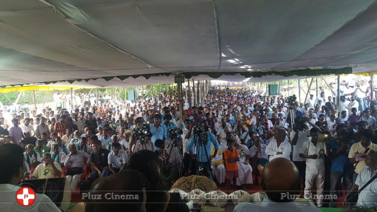 National Level Rice Festival Photos | Picture 1329265