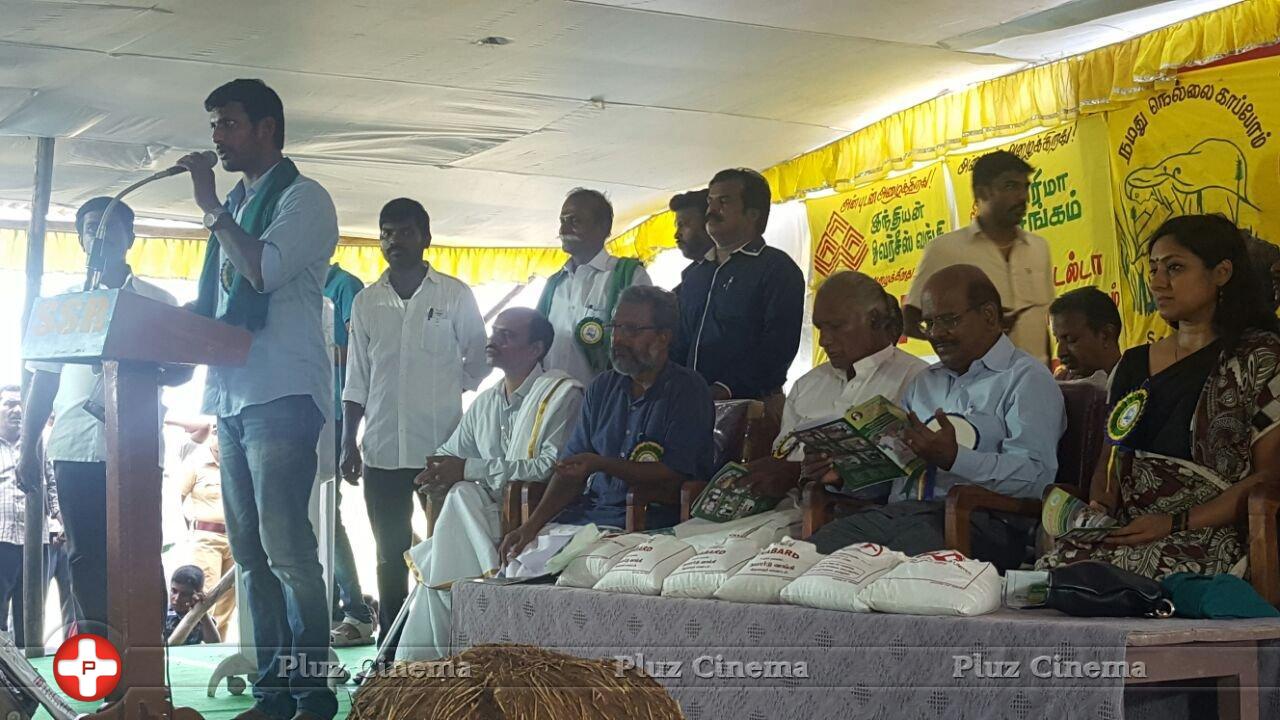 National Level Rice Festival Photos | Picture 1329271