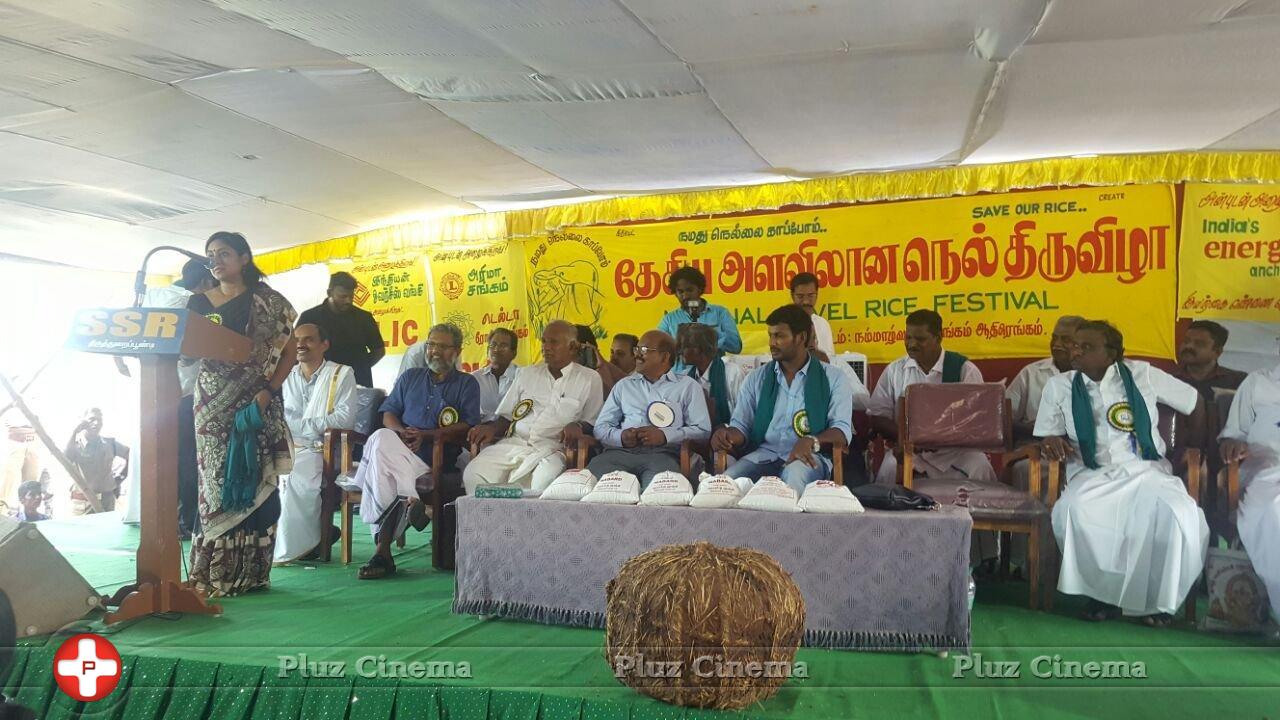 National Level Rice Festival Photos | Picture 1329278