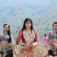 Naina Sarwar - Adra Machan Visilu Movie Latest Stills | Picture 1344209