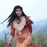 Naina Sarwar - Adra Machan Visilu Movie Latest Stills | Picture 1344212