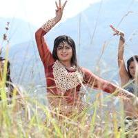 Naina Sarwar - Adra Machan Visilu Movie Latest Stills | Picture 1344215