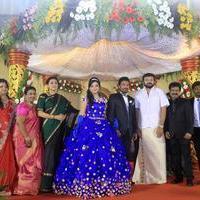 Director R. Pandiarajan Son Prithvirajan Weds Akshaya Wedding Reception Stills | Picture 1310866
