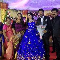 Director R. Pandiarajan Son Prithvirajan Weds Akshaya Wedding Reception Stills | Picture 1310869