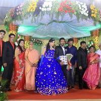 Director R. Pandiarajan Son Prithvirajan Weds Akshaya Wedding Reception Stills | Picture 1310884