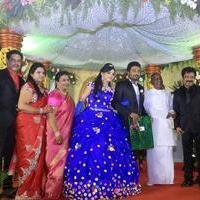 Director R. Pandiarajan Son Prithvirajan Weds Akshaya Wedding Reception Stills | Picture 1310885
