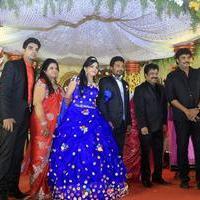 Director R. Pandiarajan Son Prithvirajan Weds Akshaya Wedding Reception Stills | Picture 1310899