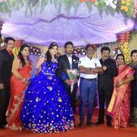 Director R. Pandiarajan Son Prithvirajan Weds Akshaya Wedding Reception Stills | Picture 1310900