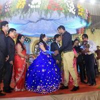Director R. Pandiarajan Son Prithvirajan Weds Akshaya Wedding Reception Stills | Picture 1310903