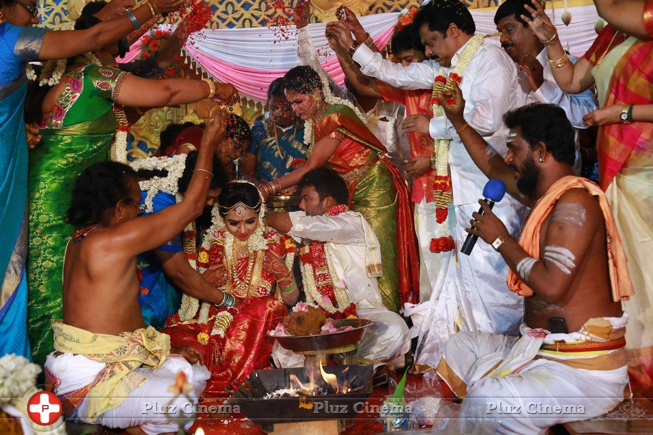Director R. Pandiarajan Son Prithvirajan Weds Akshaya Wedding Reception Stills | Picture 1313808