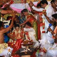 Director R. Pandiarajan Son Prithvirajan Weds Akshaya Wedding Reception Stills | Picture 1313808
