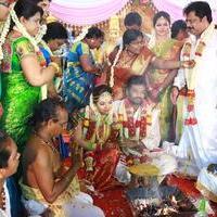 Director R. Pandiarajan Son Prithvirajan Weds Akshaya Wedding Reception Stills | Picture 1313811