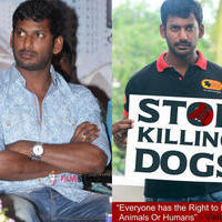 Actor Vishal is awarded with title The Face of Animal Activism | Picture 1322830