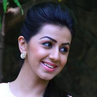 Nikki Galrani - Velainu Vandhutta vellaikaaran Movie stills | Picture 1322879