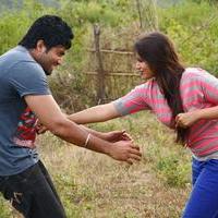 Thagadu Movie Stills | Picture 1325847