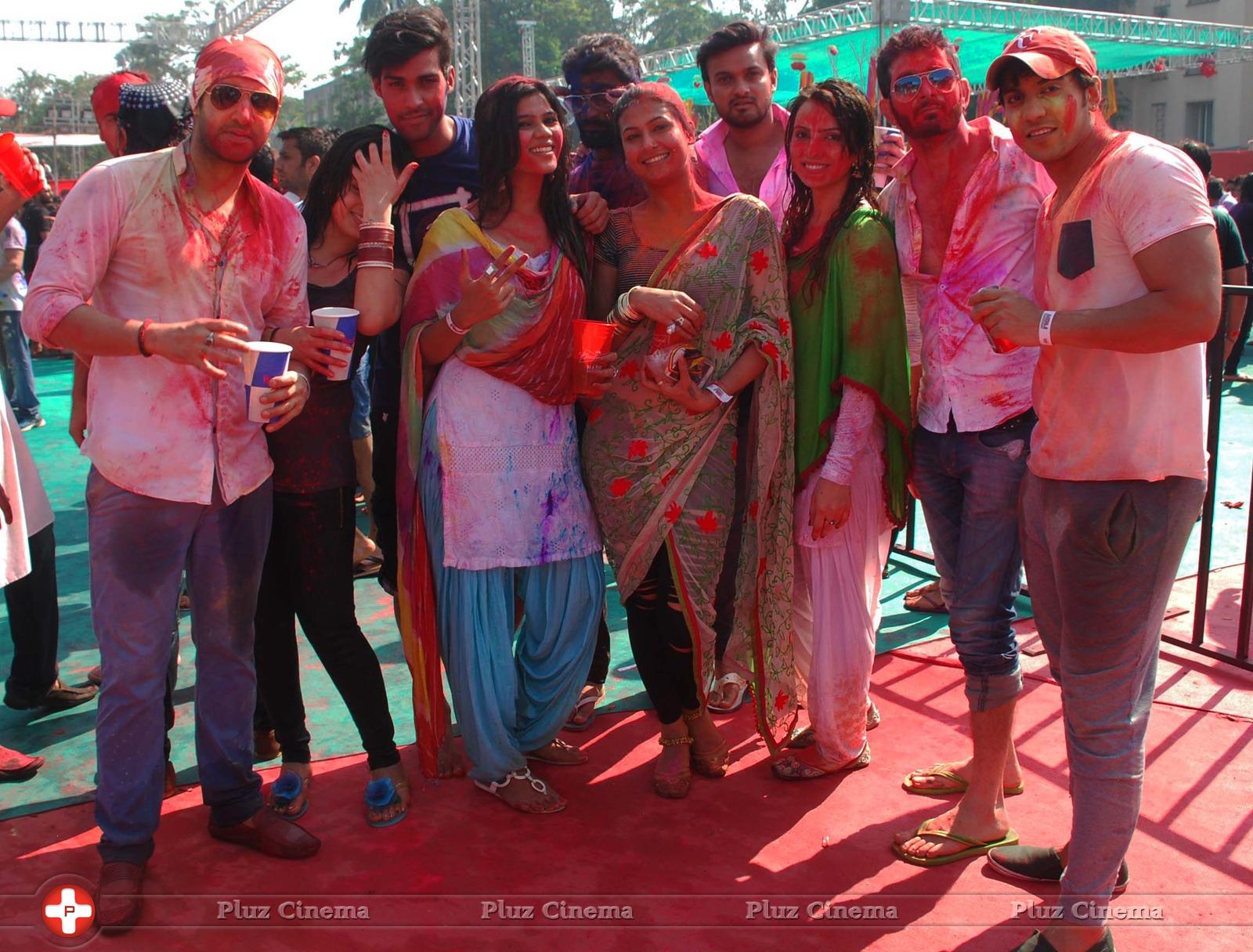 Celebrities at Plus91 Holi Reloaded 2015 Stills | Picture 983057