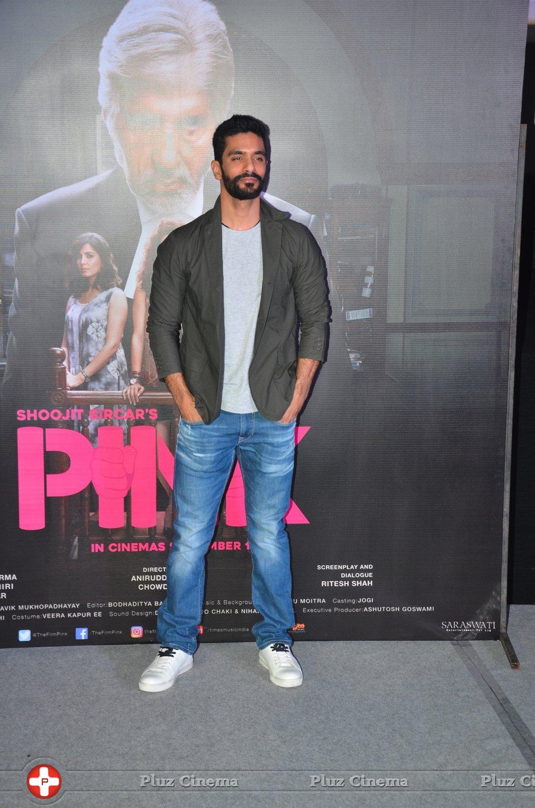 Pink Movie Photos | Picture 1379046
