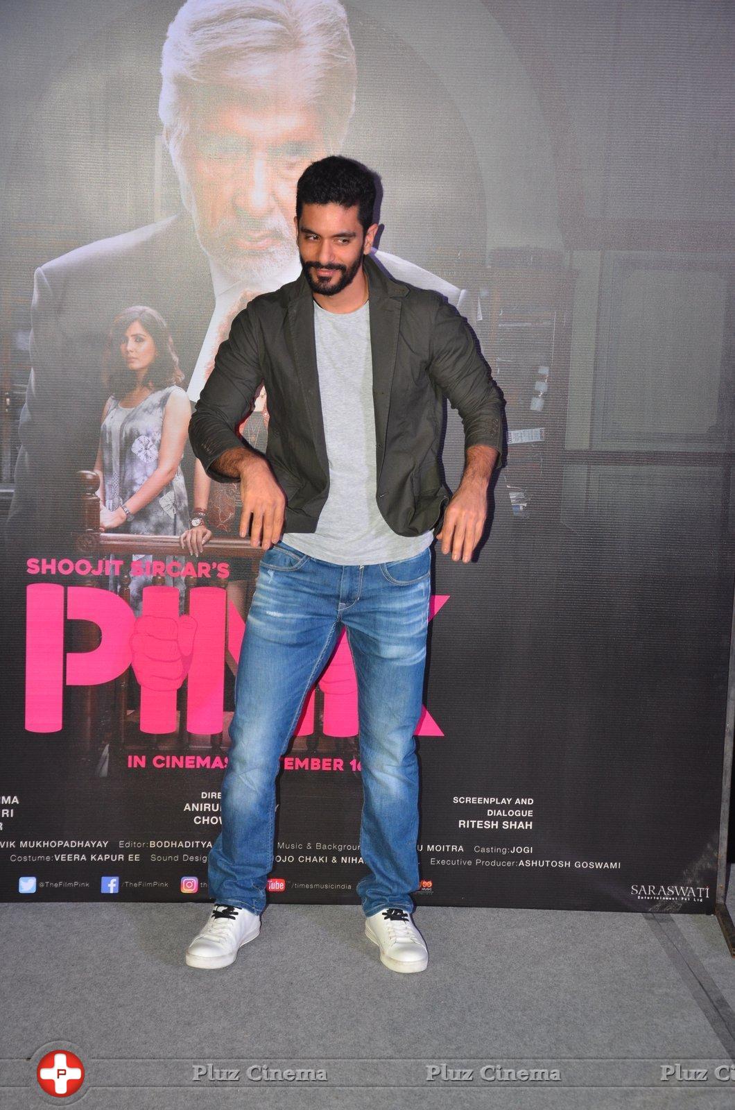 Pink Movie Photos | Picture 1379048