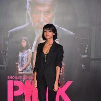 Pink Movie Photos | Picture 1379045