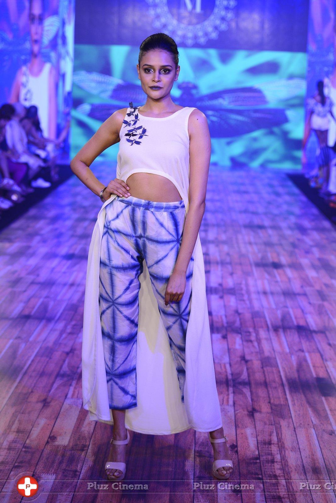 India Beach Fashion Week Day 1 All Shows with Showstoppers Stills | Picture 1321159