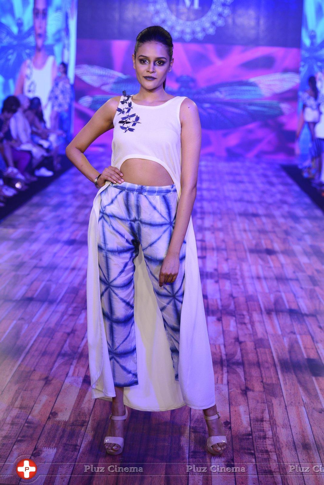 India Beach Fashion Week Day 1 All Shows with Showstoppers Stills | Picture 1321170