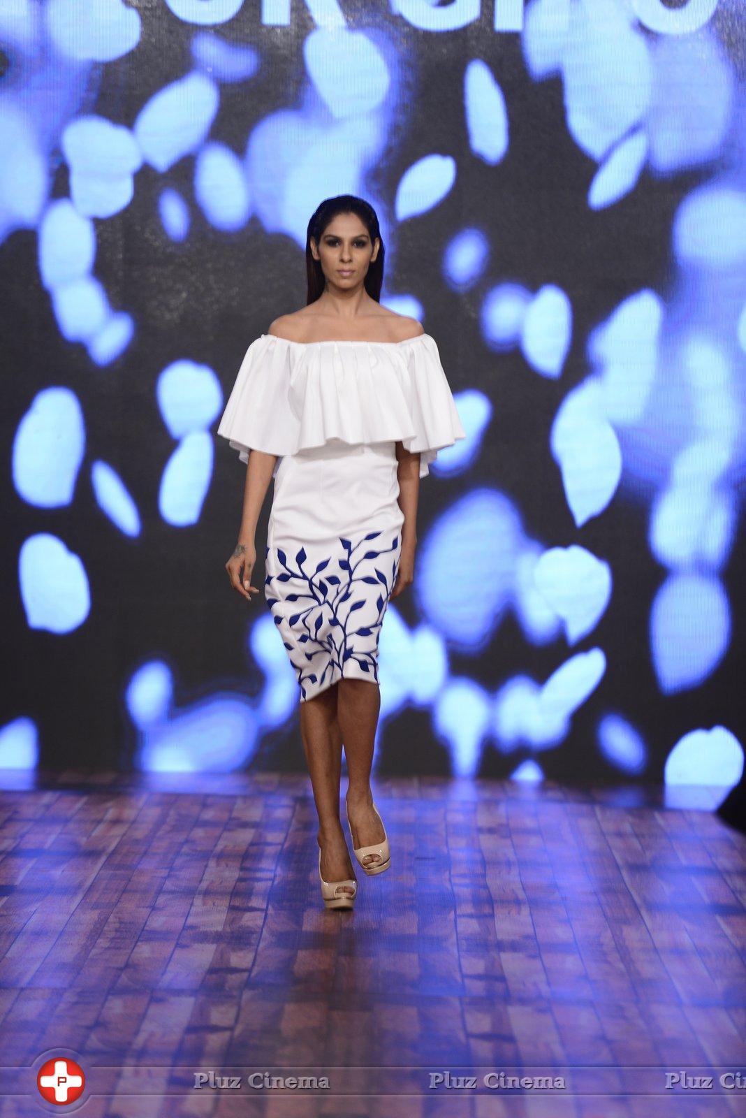 India Beach Fashion Week Day 1 All Shows with Showstoppers Stills | Picture 1321194