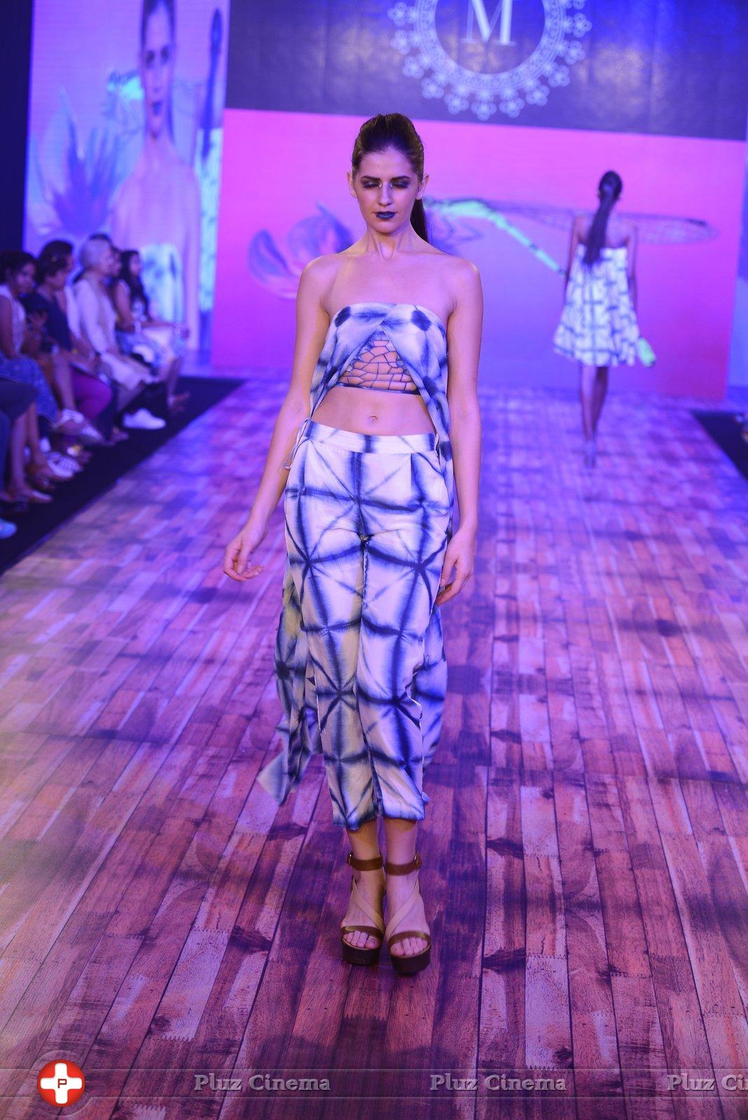 India Beach Fashion Week Day 1 All Shows with Showstoppers Stills | Picture 1321249