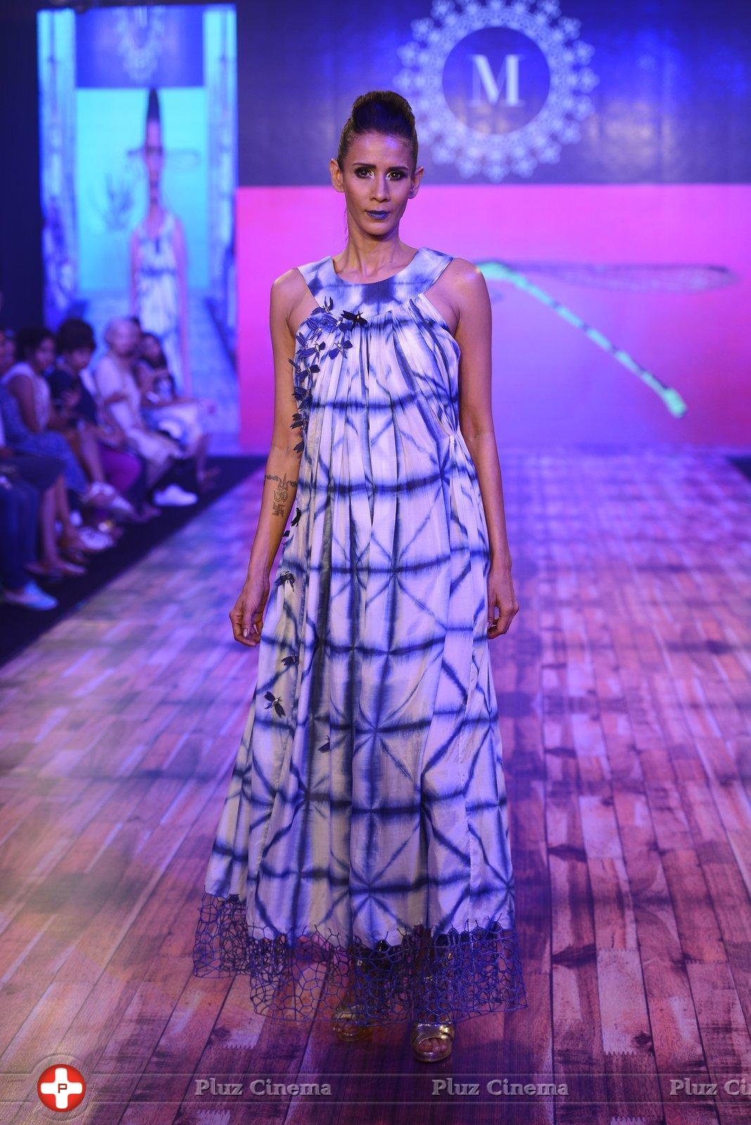 India Beach Fashion Week Day 1 All Shows with Showstoppers Stills | Picture 1321270