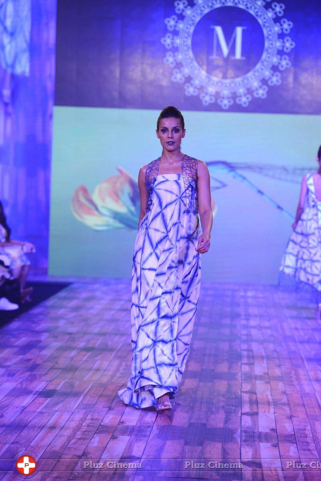 India Beach Fashion Week Day 1 All Shows with Showstoppers Stills | Picture 1321282