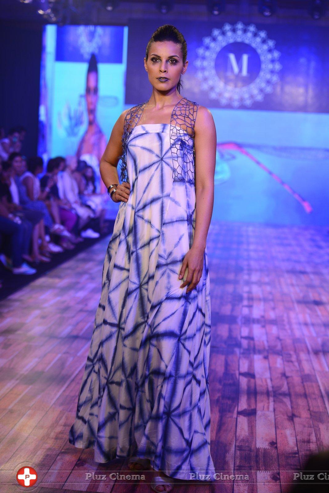 India Beach Fashion Week Day 1 All Shows with Showstoppers Stills | Picture 1321292