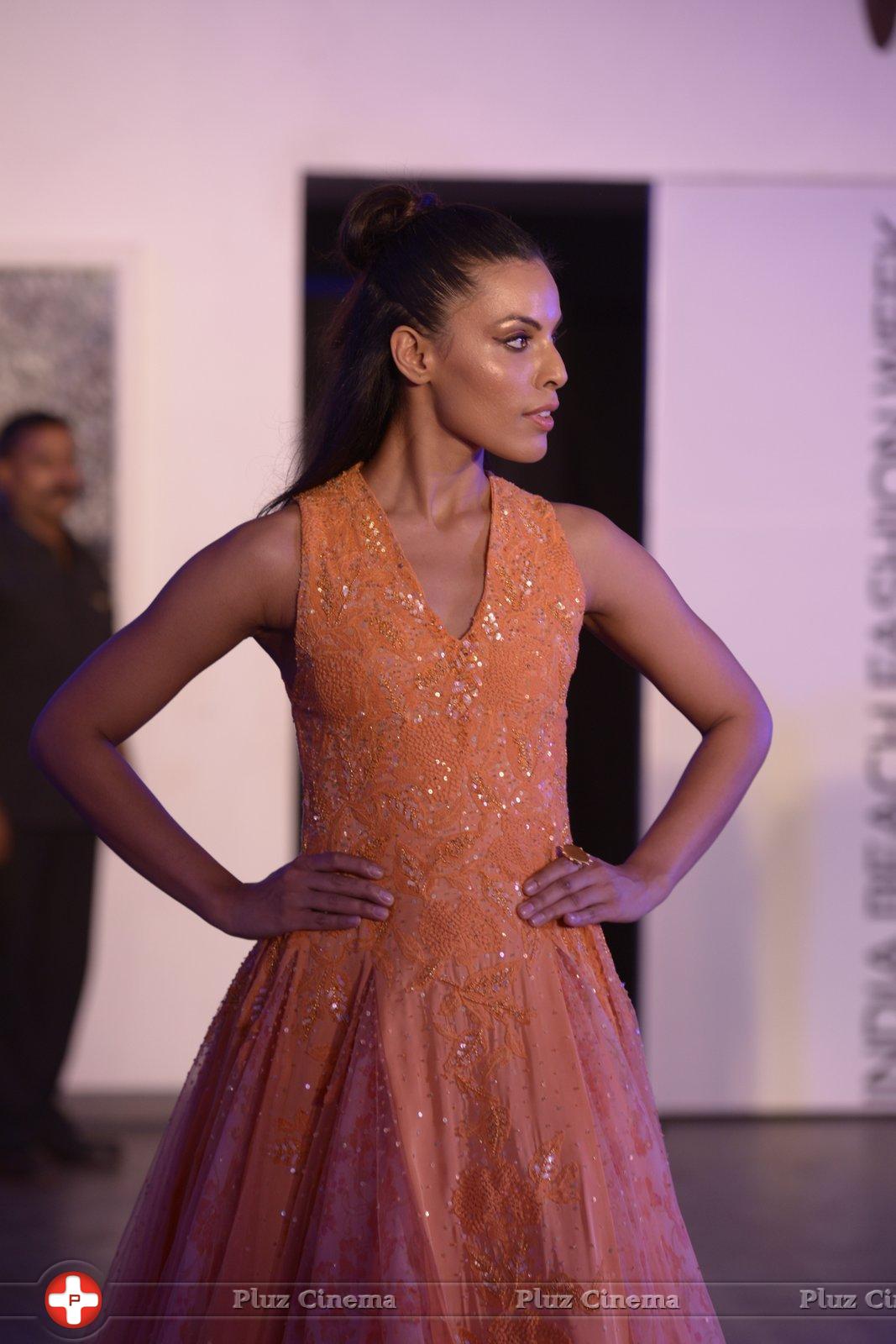 India Beach Fashion Week Day 1 All Shows with Showstoppers Stills | Picture 1321331